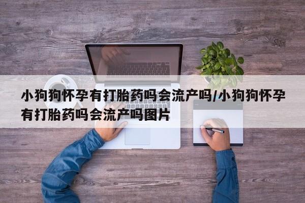 打胎药微信上哪里买小狗狗怀孕有打胎药吗会流产吗/小狗狗怀孕有打胎药吗会流产吗图片