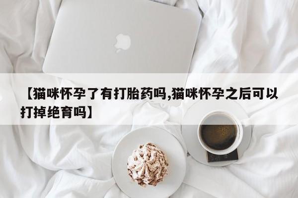 打胎药微信上哪里买【猫咪怀孕了有打胎药吗,猫咪怀孕之后可以打掉绝育吗】