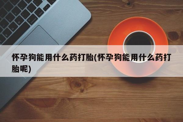 打胎药微信上哪里买怀孕狗能用什么药打胎(怀孕狗能用什么药打胎呢)